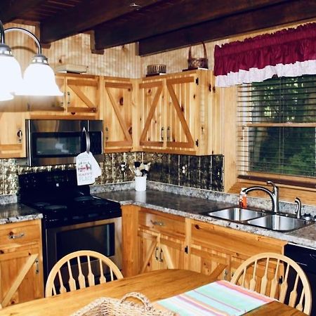 Rustic Black Bear Cabin ピジョンフォージ エクステリア 写真