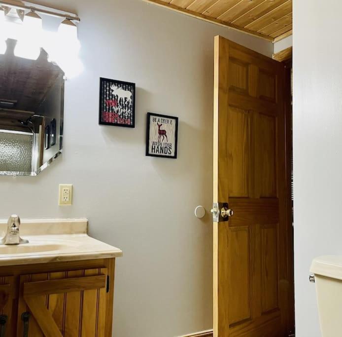 Rustic Black Bear Cabin ピジョンフォージ エクステリア 写真