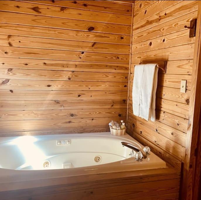 Rustic Black Bear Cabin ピジョンフォージ エクステリア 写真
